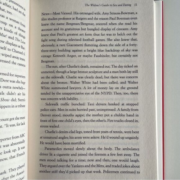 BOOK, The Widow’s Guide to Sex & Dating, a novel, 302 pages, Fiction, NOS - Picture 10 of 16